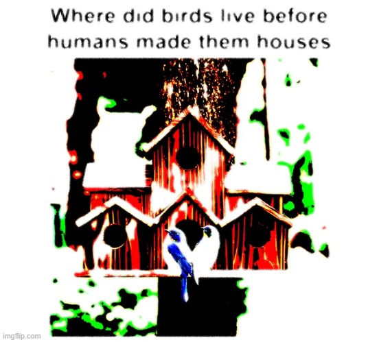 Nuked bird house | image tagged in nuke,random,memes | made w/ Imgflip meme maker