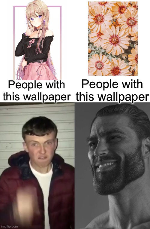 Average Fan vs Average Enjoyer | People with this wallpaper; People with this wallpaper | image tagged in average fan vs average enjoyer | made w/ Imgflip meme maker