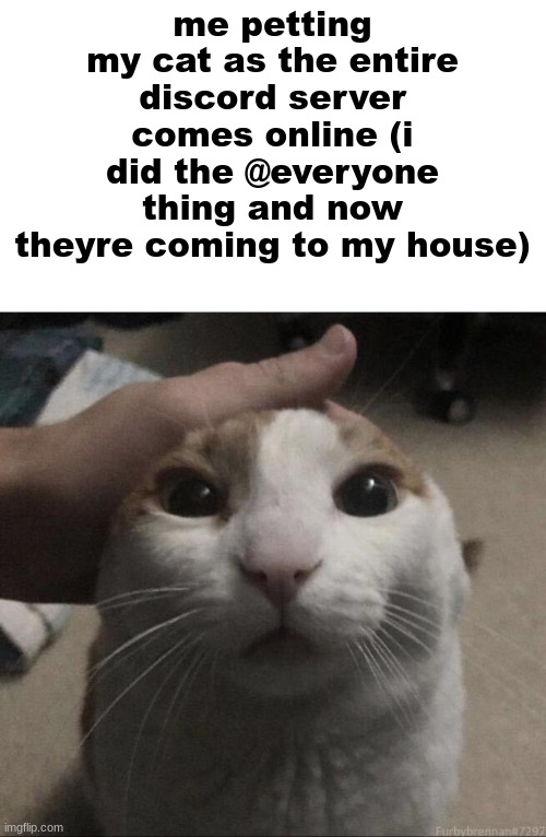 me petting my cat | me petting my cat as the entire discord server comes online (i did the @everyone thing and now theyre coming to my house) | image tagged in me petting my cat | made w/ Imgflip meme maker