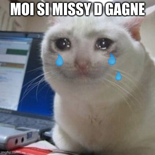 Crying cat | MOI SI MISSY D GAGNE | image tagged in crying cat | made w/ Imgflip meme maker