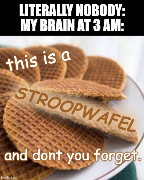 Yes, stroopwafel is a word. | LITERALLY NOBODY:
MY BRAIN AT 3 AM:; this is a; STROOPWAFEL; and dont you forget. | image tagged in memes,fun,stroopwafel,stupid memes,waffles | made w/ Imgflip meme maker