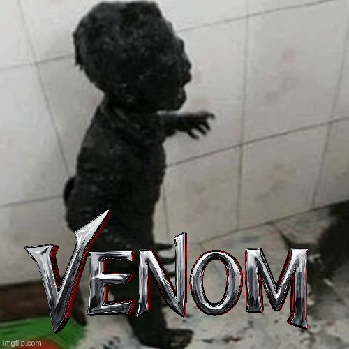 I hear Eminem "Venom" now reading this | image tagged in venom | made w/ Imgflip meme maker