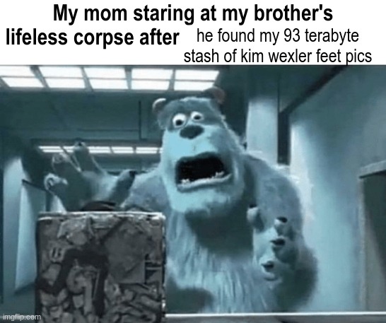 My mom staring at my brother's lifeless corpse after I blank | he found my 93 terabyte stash of kim wexler feet pics | image tagged in my mom staring at my brother's lifeless corpse after i blank | made w/ Imgflip meme maker