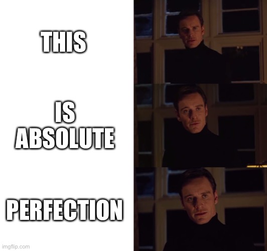 perfection | THIS IS ABSOLUTE PERFECTION | image tagged in perfection | made w/ Imgflip meme maker