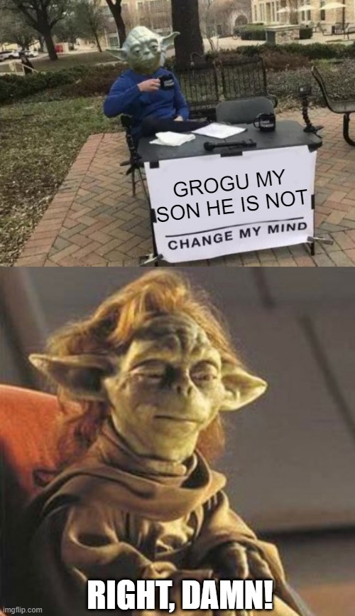 Stop with the Yoda's Kid References | GROGU MY SON HE IS NOT; RIGHT, DAMN! | image tagged in yoda change my mind,unimpressed yaddle | made w/ Imgflip meme maker