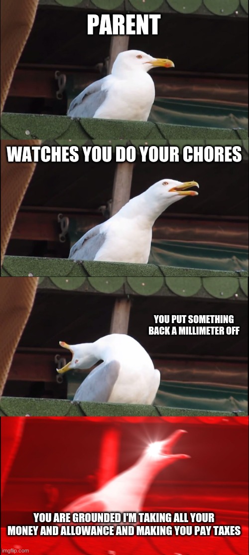 comment if you agree | PARENT; WATCHES YOU DO YOUR CHORES; YOU PUT SOMETHING BACK A MILLIMETER OFF; YOU ARE GROUNDED I'M TAKING ALL YOUR MONEY AND ALLOWANCE AND MAKING YOU PAY TAXES | image tagged in memes,inhaling seagull | made w/ Imgflip meme maker