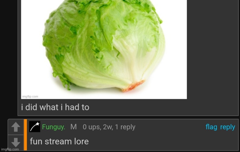 Fun stream lore | image tagged in lettuce,fun | made w/ Imgflip meme maker