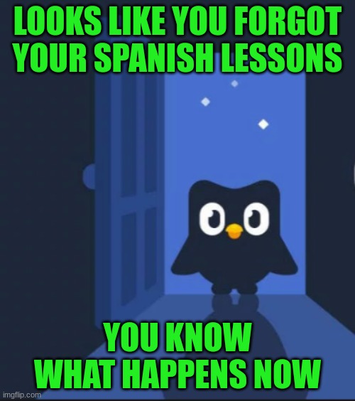 shoot i forgot my spanish | LOOKS LIKE YOU FORGOT YOUR SPANISH LESSONS; YOU KNOW WHAT HAPPENS NOW | image tagged in duolingo bird | made w/ Imgflip meme maker