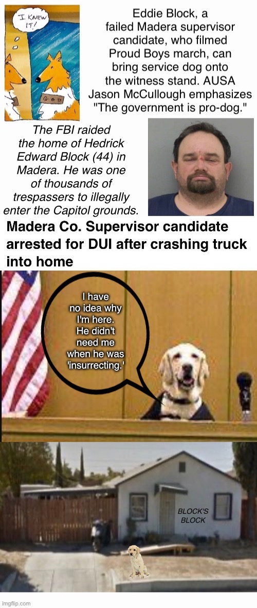 Dog Seeks Emancipation From Drunk | image tagged in dui,animal protection,failed candidate,loser,sedition,treason | made w/ Imgflip meme maker