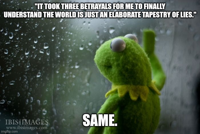 Same | "IT TOOK THREE BETRAYALS FOR ME TO FINALLY UNDERSTAND THE WORLD IS JUST AN ELABORATE TAPESTRY OF LIES."; SAME. | image tagged in kermit window | made w/ Imgflip meme maker
