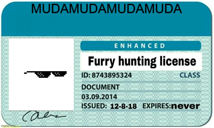 furry hunting license | MUDAMUDAMUDAMUDA | image tagged in furry hunting license | made w/ Imgflip meme maker