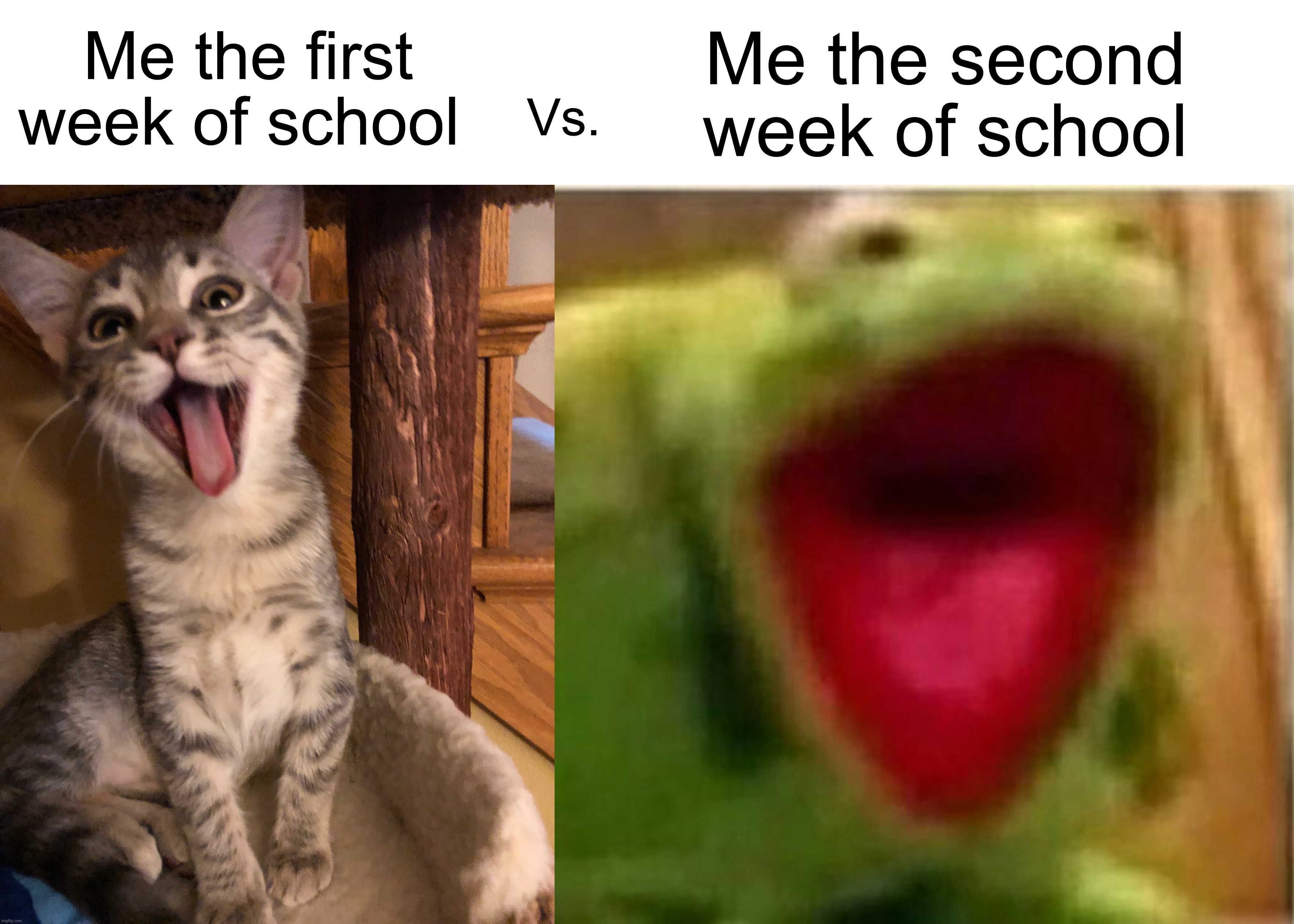 The second week is usually more painful than the first | Me the second week of school; Me the first week of school; Vs. | image tagged in ahhhhhhhhhhhhh,memes,funny,true story,relatable memes,school | made w/ Imgflip meme maker