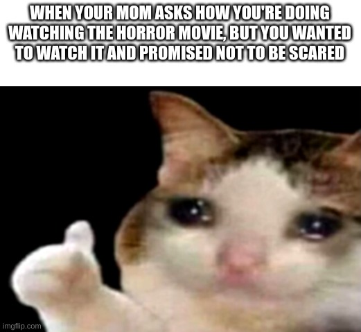This has happened to my sibling a few times actually | WHEN YOUR MOM ASKS HOW YOU'RE DOING WATCHING THE HORROR MOVIE, BUT YOU WANTED TO WATCH IT AND PROMISED NOT TO BE SCARED | image tagged in sad cat thumbs up | made w/ Imgflip meme maker
