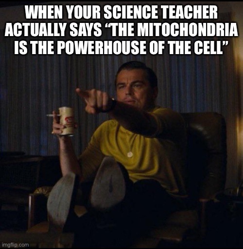 he said it! | WHEN YOUR SCIENCE TEACHER ACTUALLY SAYS “THE MITOCHONDRIA IS THE POWERHOUSE OF THE CELL” | image tagged in leonardo dicaprio pointing,e,science | made w/ Imgflip meme maker