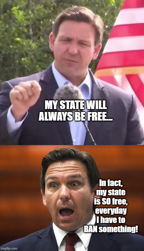 Freedom Slaves! | MY STATE WILL ALWAYS BE FREE... In fact, my state is SO free, everyday I have to BAN something! | image tagged in florida governor ron desantis,desantis racist | made w/ Imgflip meme maker