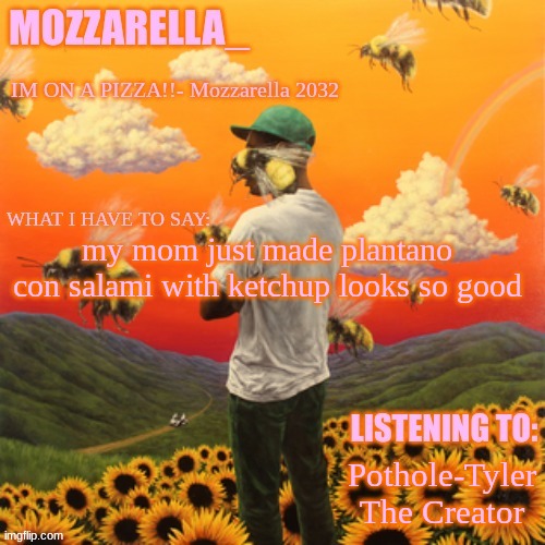 Flower Boy | my mom just made plantano con salami with ketchup looks so good; Pothole-Tyler The Creator | image tagged in flower boy | made w/ Imgflip meme maker