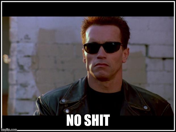 arnold schwarzenegger terminator | NO SHIT | image tagged in arnold schwarzenegger terminator | made w/ Imgflip meme maker