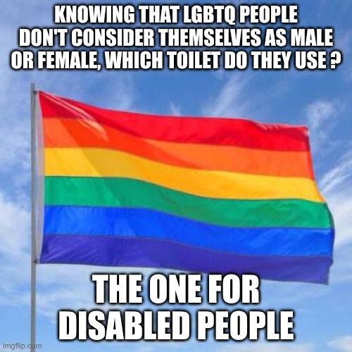 . | KNOWING THAT LGBTQ PEOPLE DON'T CONSIDER THEMSELVES AS MALE OR FEMALE, WHICH TOILET DO THEY USE ? THE ONE FOR DISABLED PEOPLE | image tagged in gay pride flag | made w/ Imgflip meme maker