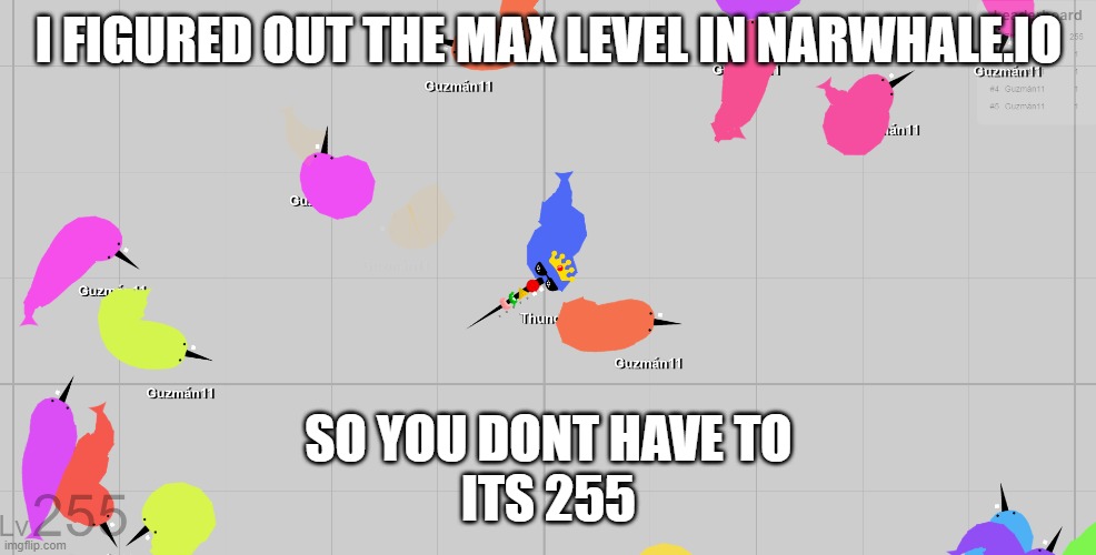 I FIGURED OUT THE MAX LEVEL IN NARWHALE.IO; SO YOU DONT HAVE TO
ITS 255 | image tagged in narwhale io,lol,why are you reading the tags,amazing,255,your mom | made w/ Imgflip meme maker