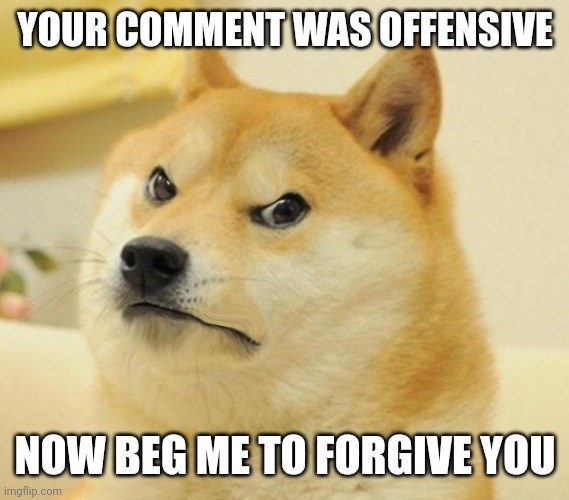 Mad doge | YOUR COMMENT WAS OFFENSIVE NOW BEG ME TO FORGIVE YOU | image tagged in mad doge | made w/ Imgflip meme maker