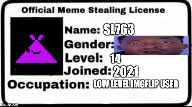 Meme Stealing License | SL763 14 2021 LOW LEVEL IMGFLIP USER | image tagged in meme stealing license | made w/ Imgflip meme maker