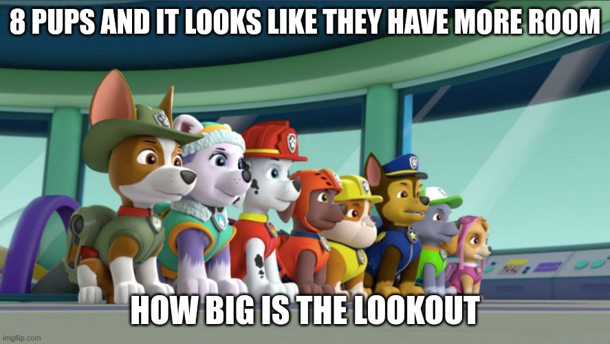 All 8 PAW Patrol Pups At The Lookout | 8 PUPS AND IT LOOKS LIKE THEY HAVE MORE ROOM; HOW BIG IS THE LOOKOUT | image tagged in all 8 paw patrol pups at the lookout | made w/ Imgflip meme maker