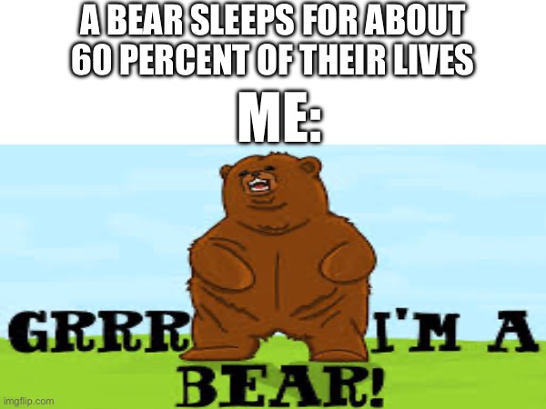 A BEAR SLEEPS FOR ABOUT 60 PERCENT OF THEIR LIVES; ME: | image tagged in memes,funny,bear | made w/ Imgflip meme maker