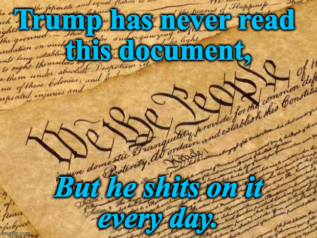 Constitution | Trump has never read 
this document, But he shits on it
every day. | image tagged in constitution | made w/ Imgflip meme maker