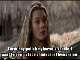 farmboy, polish my saddle | Farm-boy, polish my horse's saddle, I want to see my face shining in it by morning. | image tagged in gifs | made w/ Imgflip video-to-gif maker