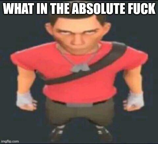 scout but I saved it so I don’t forget | WHAT IN THE ABSOLUTE FUCK | image tagged in scout but i saved it so i don t forget | made w/ Imgflip meme maker