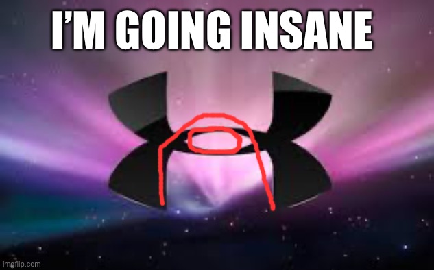 I noticed this today when I saw an under armor bookbag | I’M GOING INSANE | image tagged in under armour,amogus,i am going insane | made w/ Imgflip meme maker