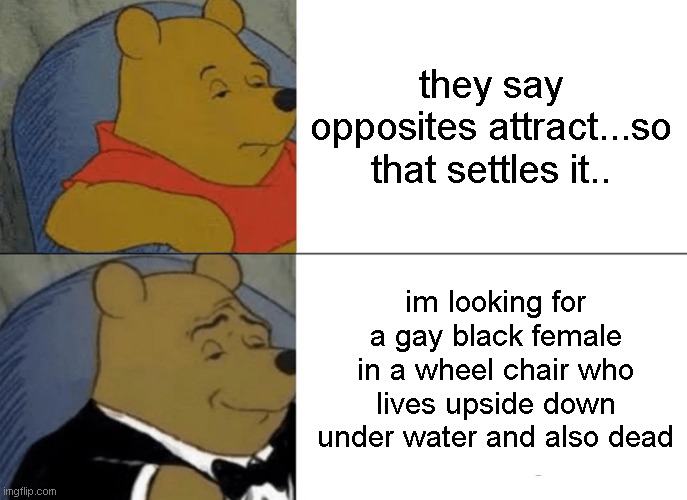 tinder matches seem a little low on this search... | they say opposites attract...so that settles it.. im looking for a gay black female in a wheel chair who lives upside down under water and also dead | image tagged in memes,tuxedo winnie the pooh | made w/ Imgflip meme maker