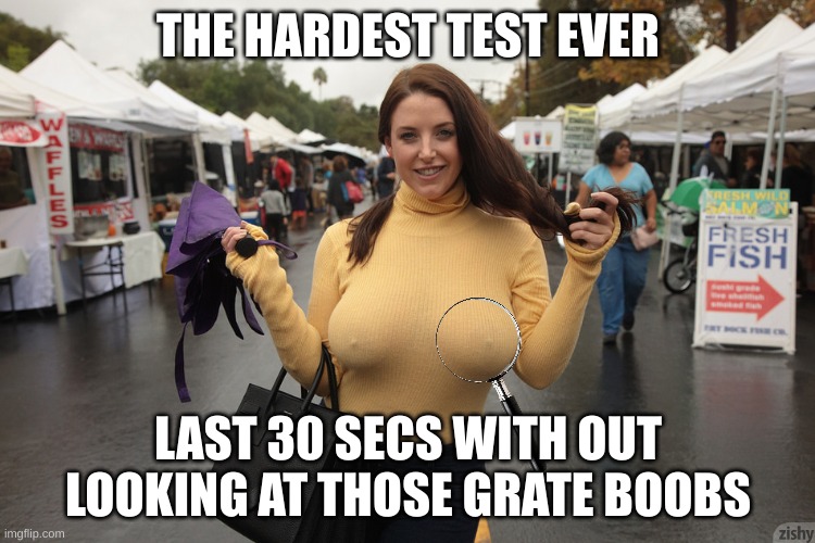 busty & braless with hard nipples | THE HARDEST TEST EVER; LAST 30 SECS WITH OUT LOOKING AT THOSE GRATE BOOBS | image tagged in busty braless with hard nipples | made w/ Imgflip meme maker