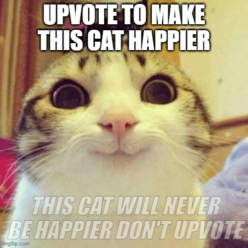 Smiling Cat Meme | UPVOTE TO MAKE THIS CAT HAPPIER; THIS CAT WILL NEVER BE HAPPIER DON'T UPVOTE | image tagged in memes,smiling cat | made w/ Imgflip meme maker