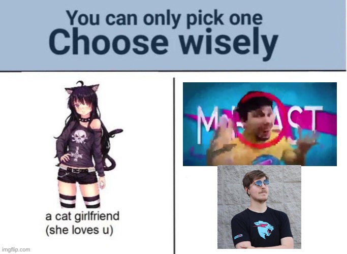 BOTH MR BEASTS | made w/ Imgflip meme maker