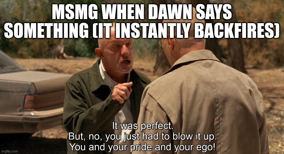 It was perfect | MSMG WHEN DAWN SAYS SOMETHING (IT INSTANTLY BACKFIRES) | image tagged in it was perfect | made w/ Imgflip meme maker