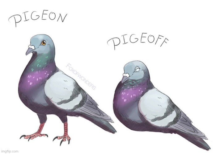 Pigeon | made w/ Imgflip meme maker