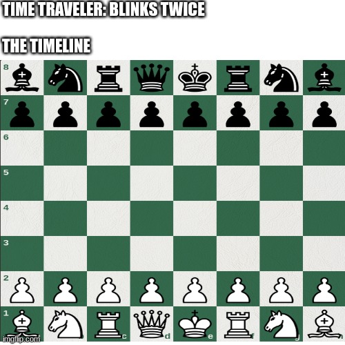 chess meme |  TIME TRAVELER: BLINKS TWICE; THE TIMELINE | image tagged in chess,memes | made w/ Imgflip meme maker