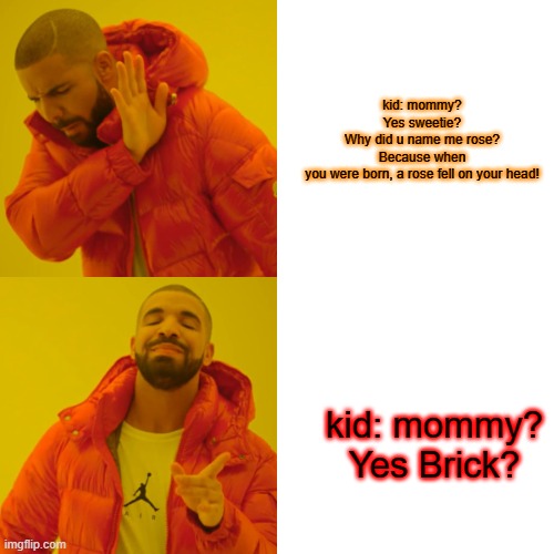 When you wanted to know why your name is... (gone wrong) | kid: mommy?
Yes sweetie?
Why did u name me rose?
Because when you were born, a rose fell on your head! kid: mommy?
Yes Brick? | image tagged in memes,drake hotline bling | made w/ Imgflip meme maker