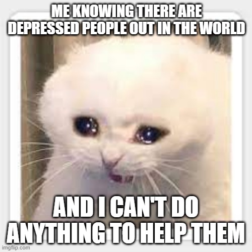 Sad cat | ME KNOWING THERE ARE DEPRESSED PEOPLE OUT IN THE WORLD; AND I CAN'T DO ANYTHING TO HELP THEM | image tagged in sad but true | made w/ Imgflip meme maker