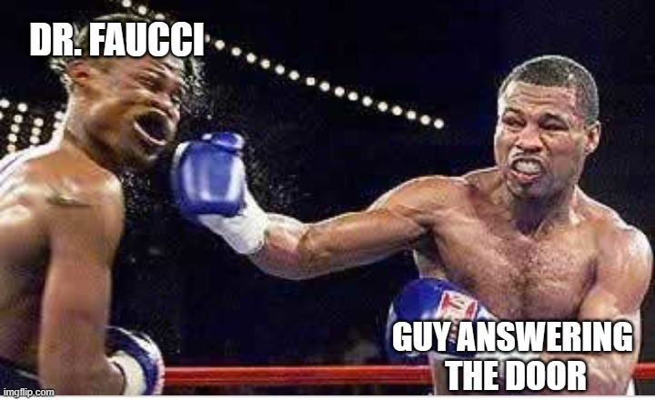 Dr. Fauci gets his ass handed to him | DR. FAUCCI; GUY ANSWERING 
THE DOOR | image tagged in punch to the face,dr fauci,science,liberals,leftists,democrats | made w/ Imgflip meme maker