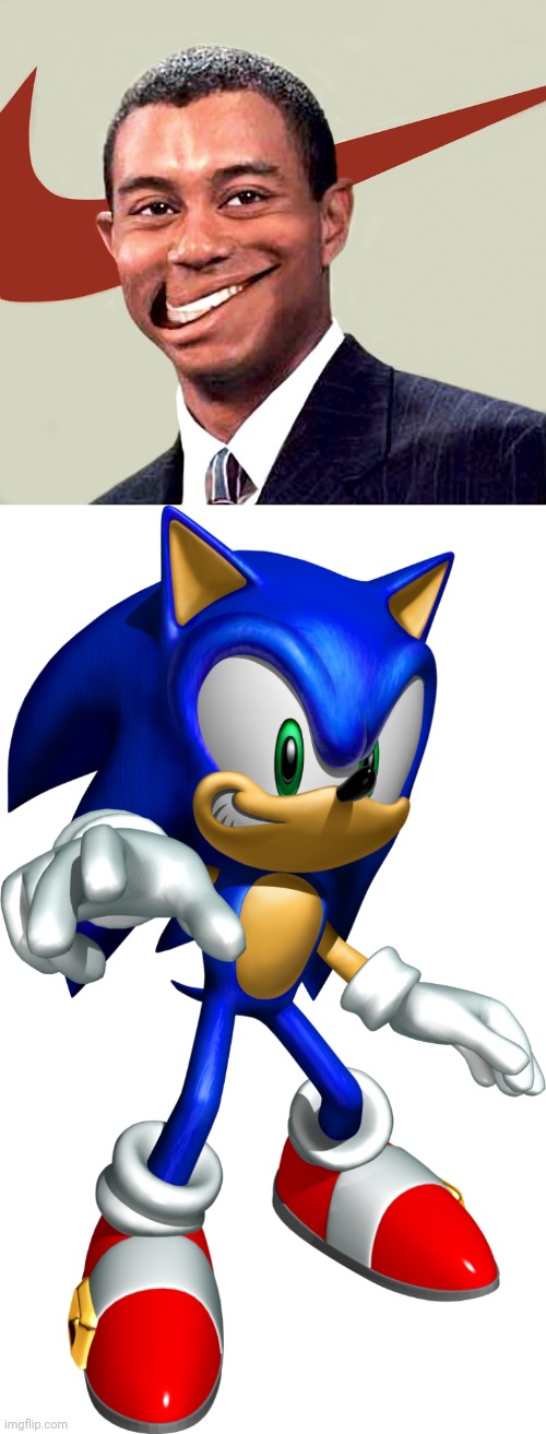 Nike Smile be like | image tagged in nike smile,sonic heroes sonic | made w/ Imgflip meme maker
