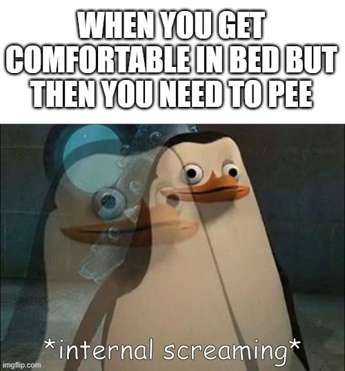 This is so annoying! | WHEN YOU GET COMFORTABLE IN BED BUT THEN YOU NEED TO PEE | image tagged in private internal screaming,sleep,annoying | made w/ Imgflip meme maker