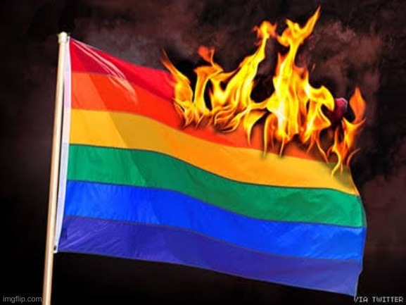 LGBTQ flag burning | image tagged in lgbtq flag burning | made w/ Imgflip meme maker