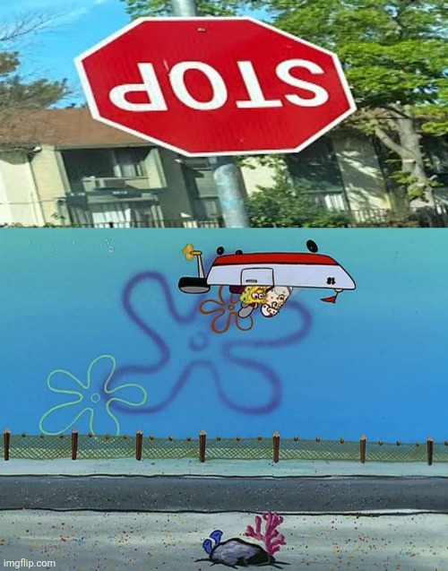 Stopping upside down | image tagged in upside down driving spongebob,stop,you had one job,memes,stop sign,upside down | made w/ Imgflip meme maker