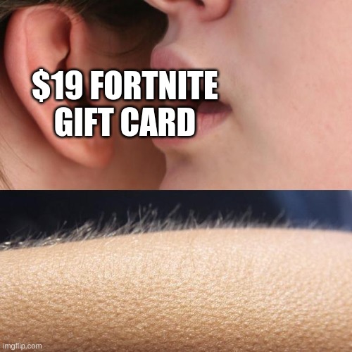 Every Fortnite kid | $19 FORTNITE GIFT CARD | image tagged in true,memes,funny | made w/ Imgflip meme maker