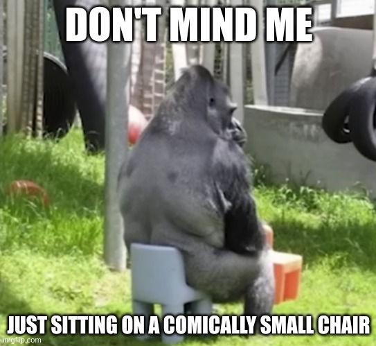 DON'T MIND ME; JUST SITTING ON A COMICALLY SMALL CHAIR | made w/ Imgflip meme maker