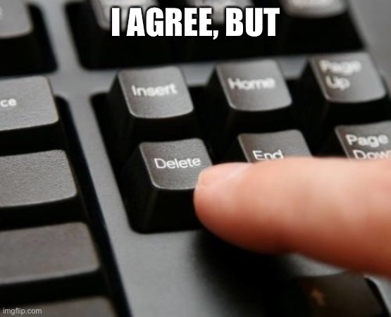 Delete | I AGREE, BUT | image tagged in delete | made w/ Imgflip meme maker