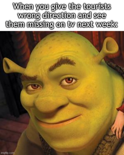 Hmm... | When you give the tourists wrong direction and see them missing on tv next week: | image tagged in shrek sexy face | made w/ Imgflip meme maker