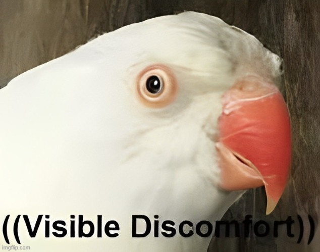 Visible Discomfort | image tagged in visible discomfort | made w/ Imgflip meme maker